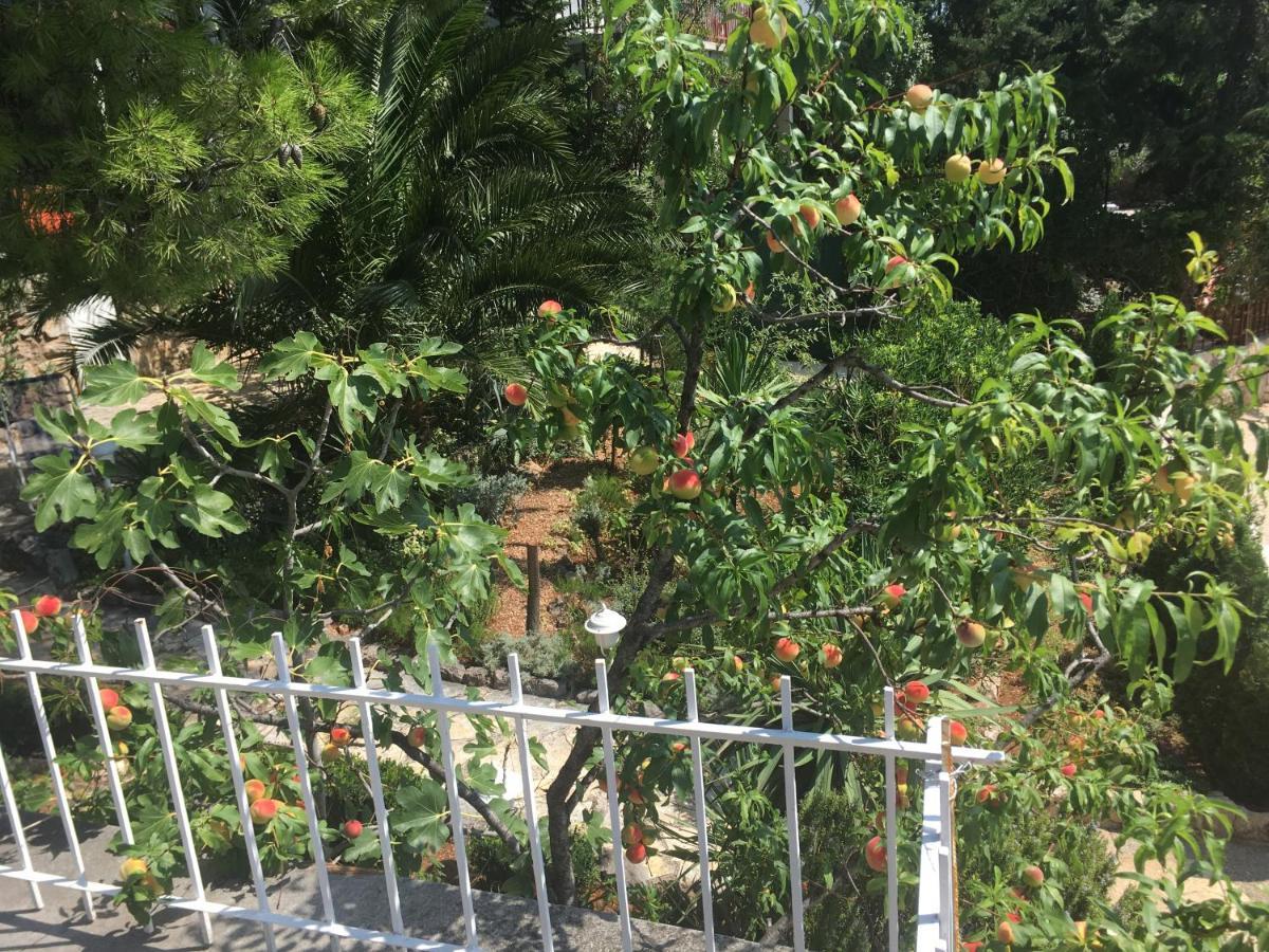 Beach House Starigrad Paklenica Εξωτερικό φωτογραφία