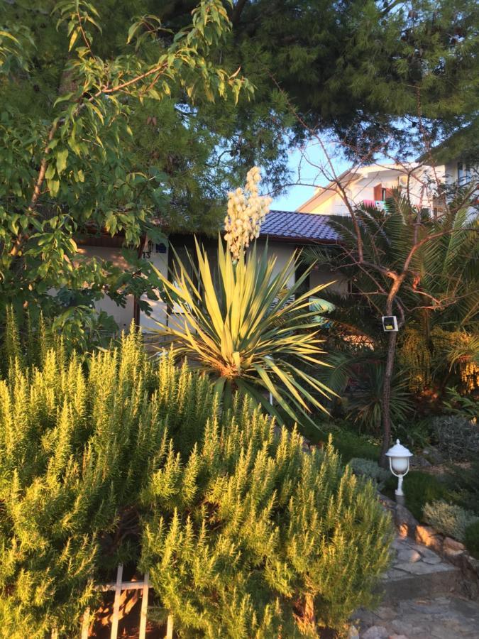 Beach House Starigrad Paklenica Εξωτερικό φωτογραφία